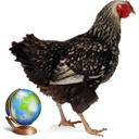 Avatar de l’utilisateur